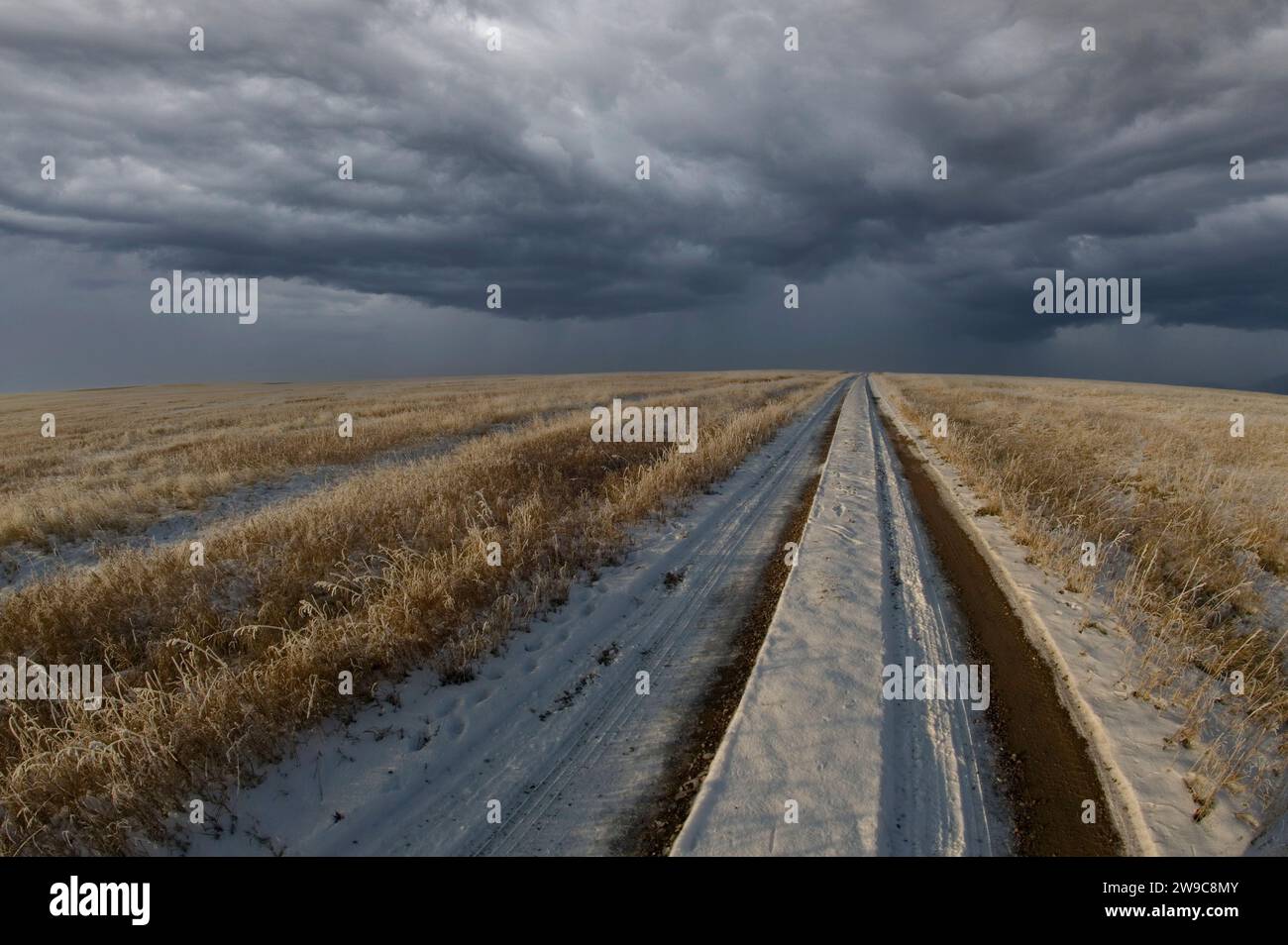 Strada sterrata ricoperta di neve attraverso un campo vuoto con nuvole di tempeste che si stanno diffondendo all'orizzonte Foto Stock