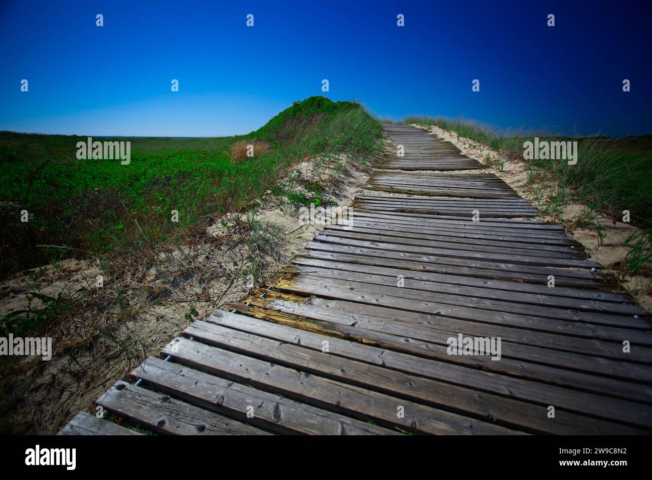 Una passerella di legno si snoda sulle dune dell'isola di Martha's Vineyard Foto Stock