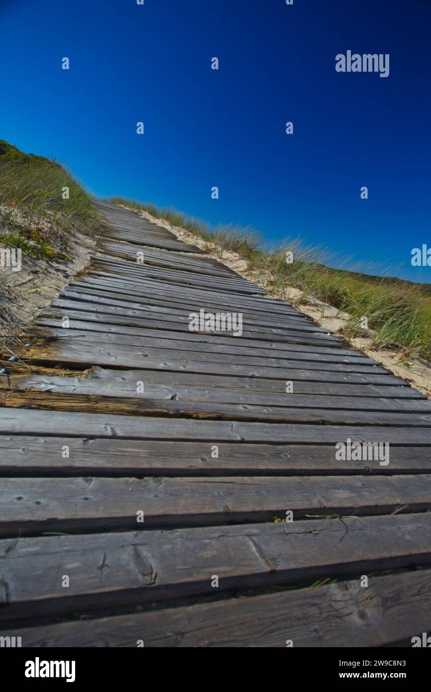 Una passerella di legno si snoda sulle dune dell'isola di Martha's Vineyard Foto Stock