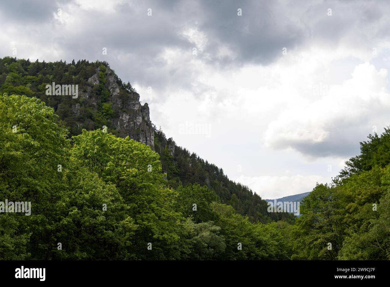 Splendida vista sulle montagne e sulla foresta slovacca. Foto Stock