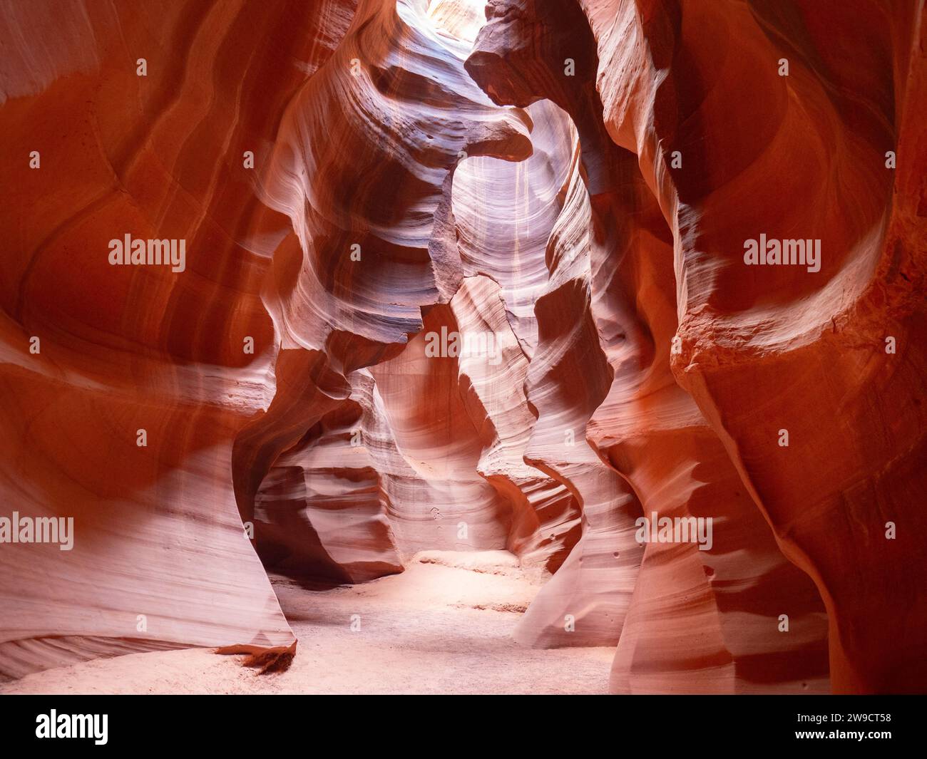 Arenaria Navajo color arancio brillante e pesca che è stata erosa fino a diventare l'Upper Antelope Canyon vicino a Page, Arizona. Foto Stock