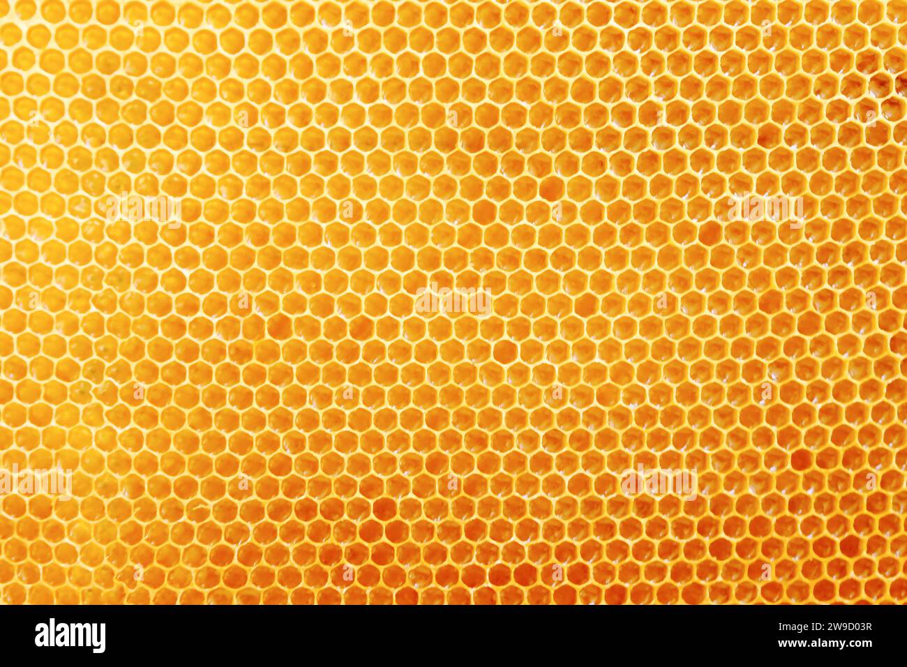 Pettini a nido d'ape con miele dolce dorato su tutto lo sfondo, consistenza ravvicinata e motivo della sezione di cera a nido d'ape Foto Stock
