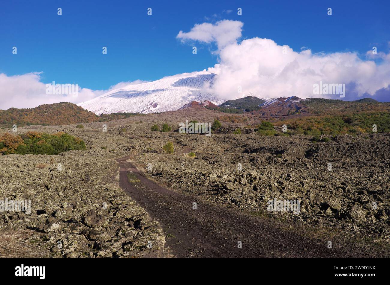 Percorso attraverso l'antico campo lavico nel Parco dell'Etna, Sicilia, Italia Foto Stock