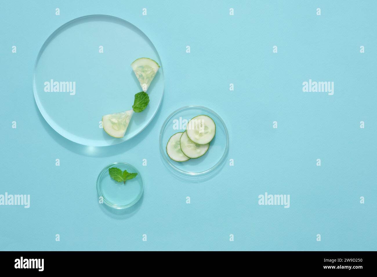 Vista dall'alto delle fette di cetriolo fresco decorate su piatti di petri e del podio trasparente su sfondo blu pastello. Scena minima per la pubblicità. Centro benessere vuoto Foto Stock