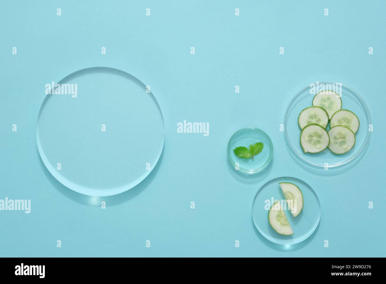 Vista dall'alto del podio trasparente su sfondo azzurro con piastre di Petri contenenti fette e foglie di cetriolo. Scena minimalista per la pubblicità Foto Stock