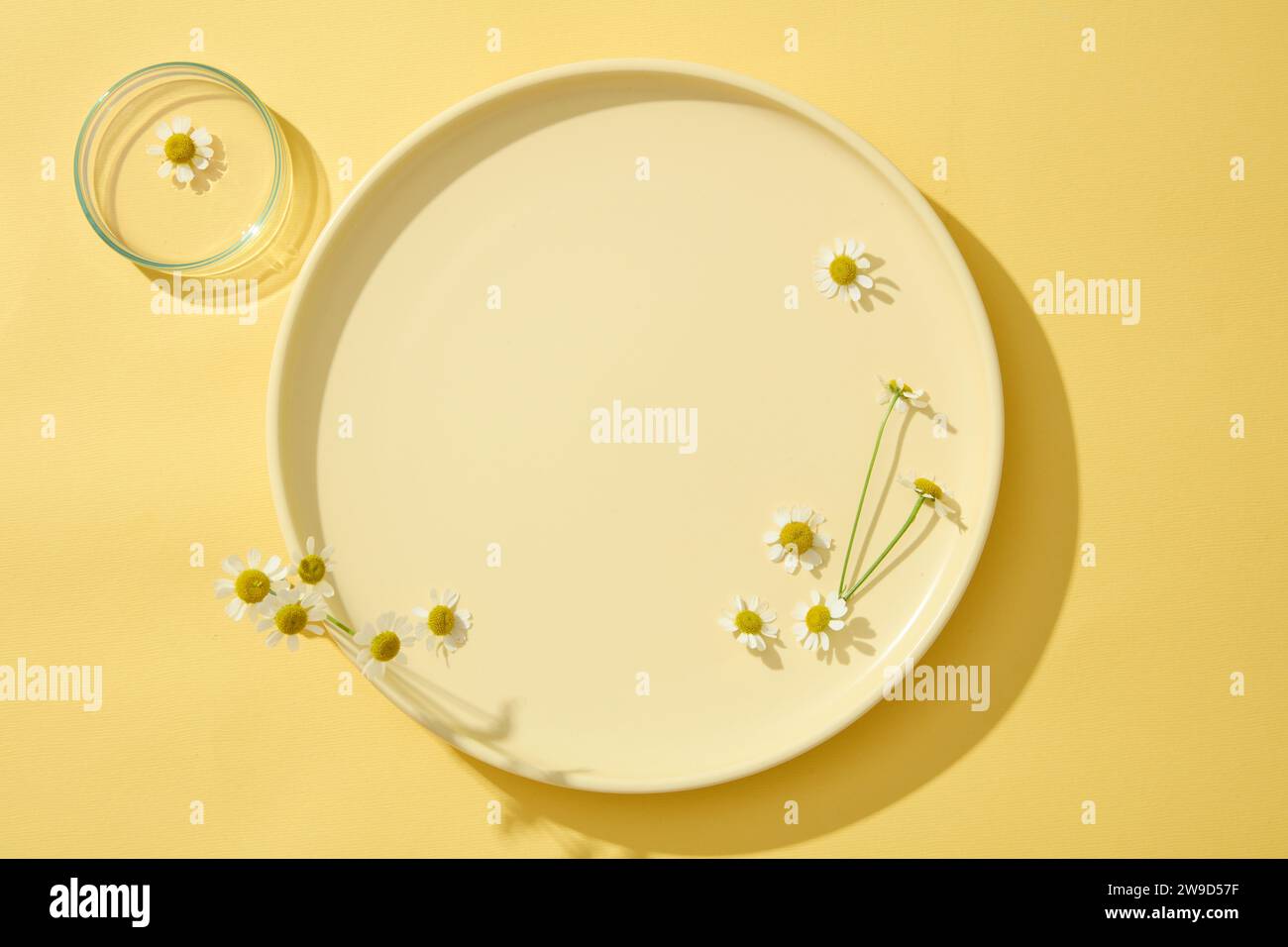 Sullo sfondo giallo, una piastra rotonda decorata con camomilla (Tanacetum parthenium). Concetto minimale con spazio di copia per cosmetici di camomilla e Foto Stock