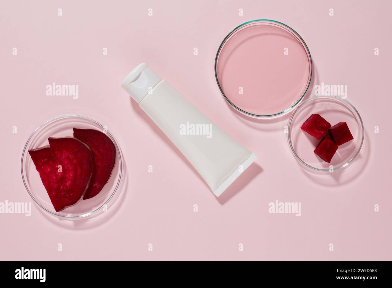 Una provetta di plastica bianca senza marchio esposta su sfondo rosa con piastre di Petri contenenti fette ed essenza di barbabietola. Mockup per design, pubblicità Foto Stock
