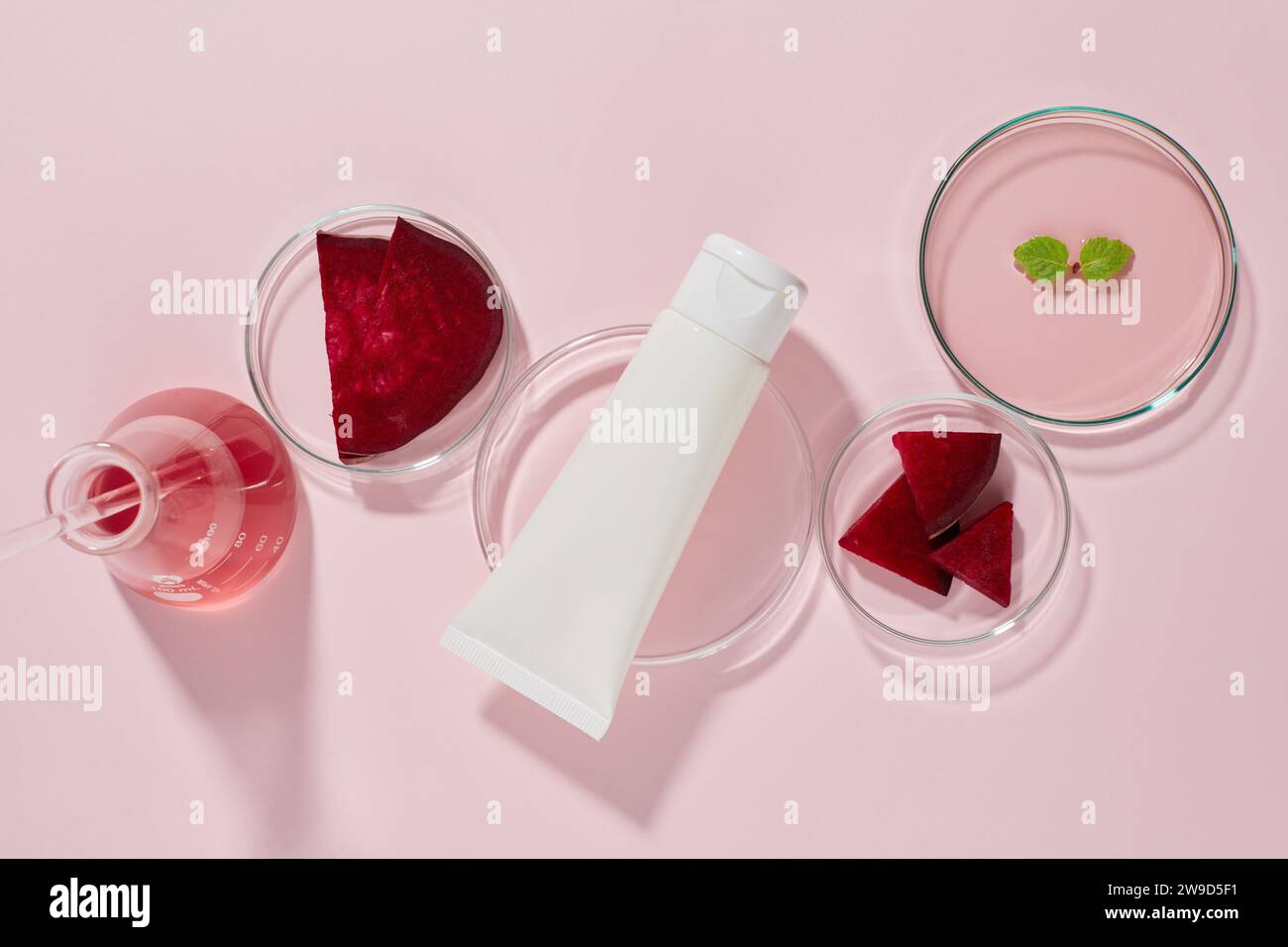 Scena per pubblicizzare cosmetici estratti da barbabietole con concetto di laboratorio. Alcuni oggetti in vetro contenenti fette ed essenza di barbabietola decorata con spirito Foto Stock