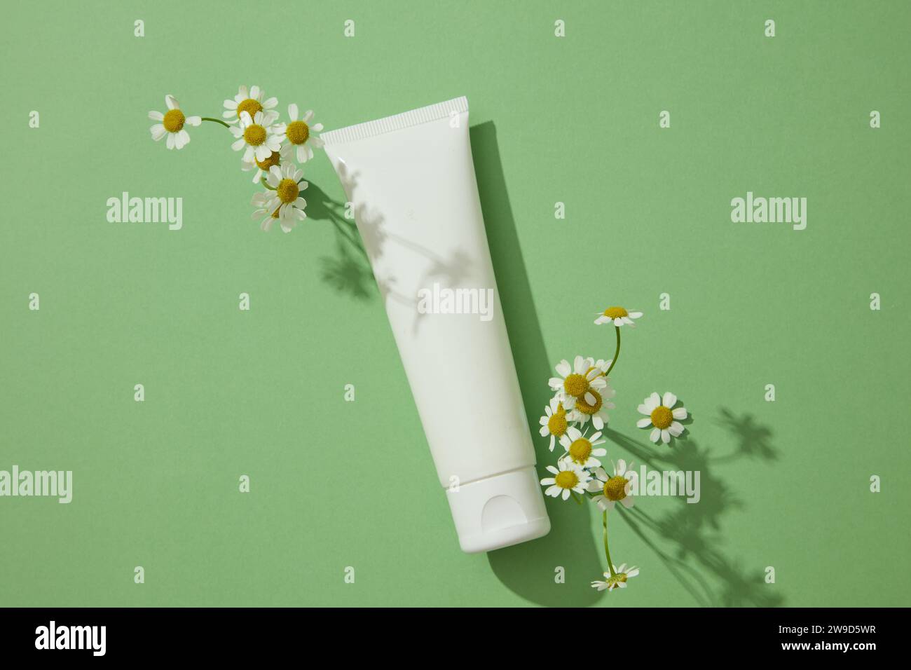 Scena di mockup per la pubblicità di cosmetici di estratto di camomilla. Una provetta di plastica bianca decorata con camomilla fresca su sfondo verde. Rem. A base di erbe Foto Stock