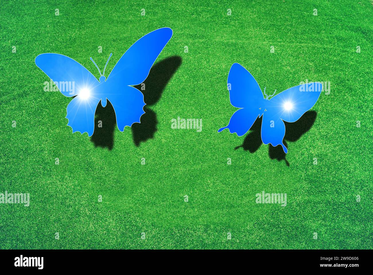 Due farfalle sopra il prato verde con ombre, le ali sono come il cielo blu con il sole, simbolo per la conservazione della natura, la protezione dell'ambiente Foto Stock