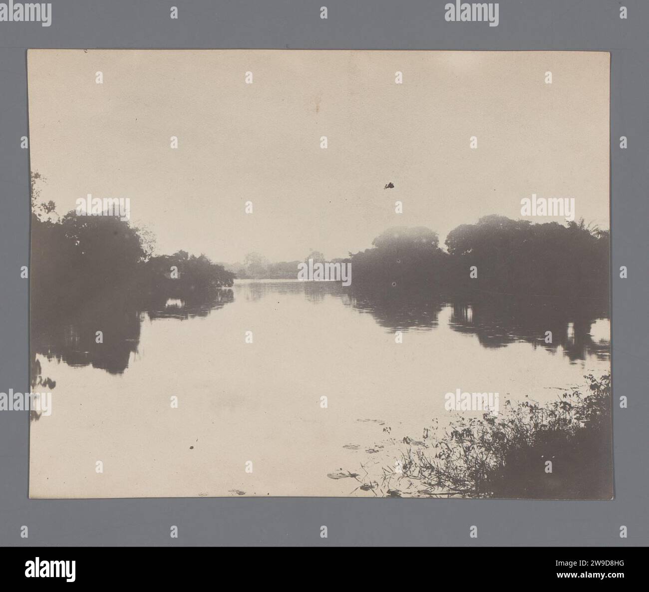 Vista delle sponde sovradimensionate di un fiume, Sud Est Asiatico, 1907 fotografa il Sud-Est Asiatico il supporto fotografico del fiume con stampa in argento gelatina Foto Stock
