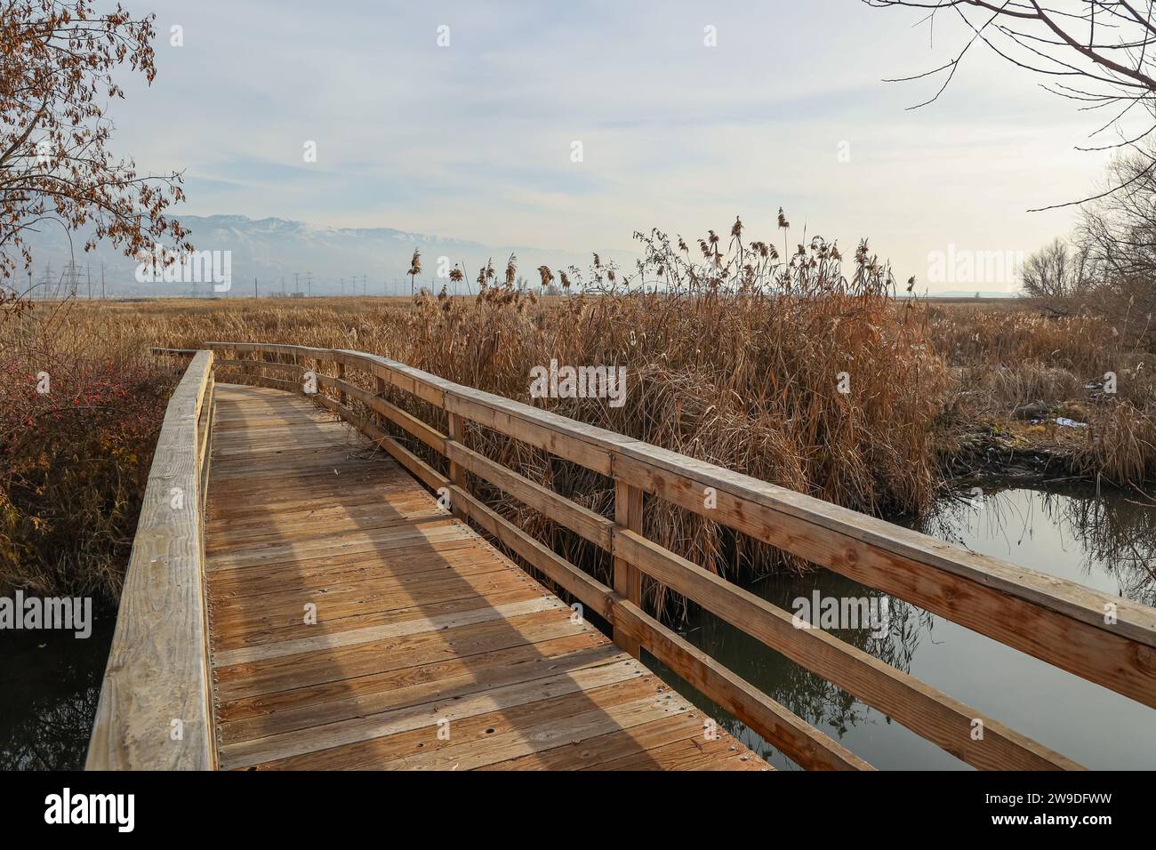 Una vista panoramica di una passerella lungo un sentiero naturalistico nella riserva naturale per gli uccelli vicino a Farmington, Utah Foto Stock