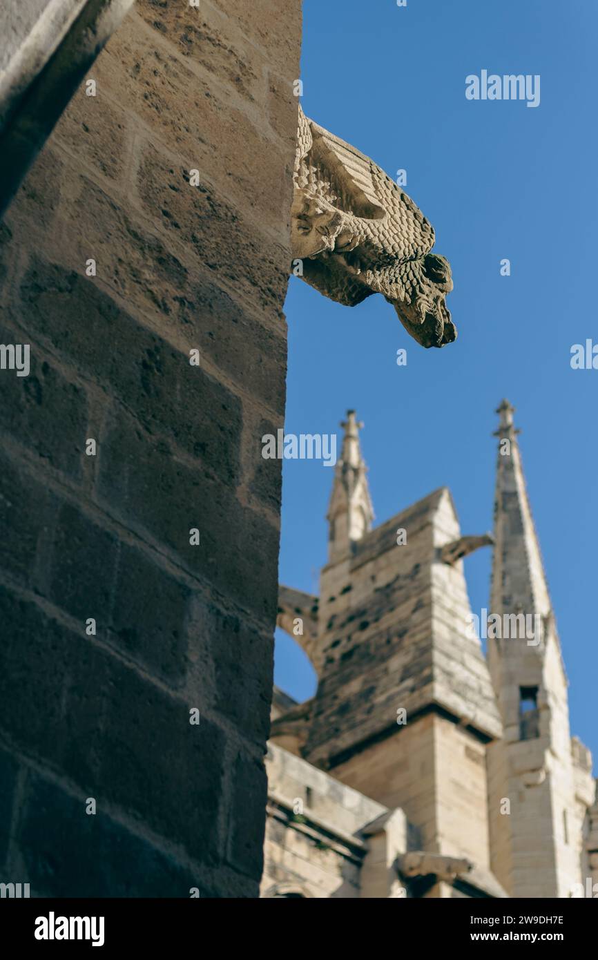 Scultura gargoyle medievale su una cattedrale gotica di Narbona Foto Stock