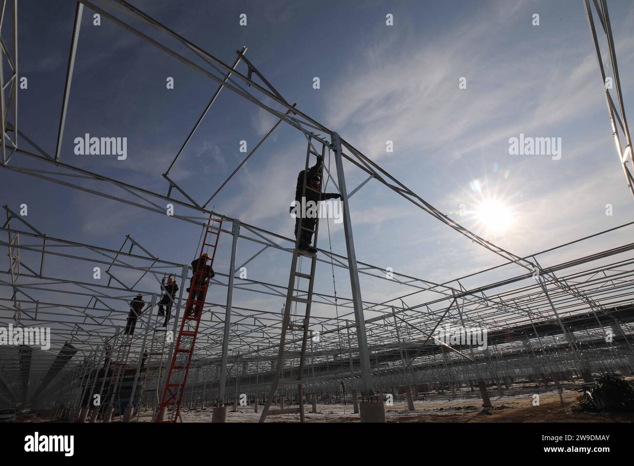 CHENGDE, CINA - 27 DICEMBRE 2023 - i lavoratori installano pannelli solari monocristallini in silicio alla "generazione di energia fotovoltaica + plantin agricola" Foto Stock