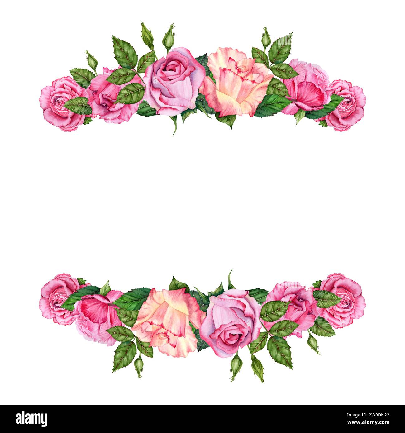 Cornice floreale con fiori di rosa, boccioli e foglie verdi. Illustrazione ad acquerello disegnata a mano isolata su sfondo bianco. Per San Valentino Foto Stock