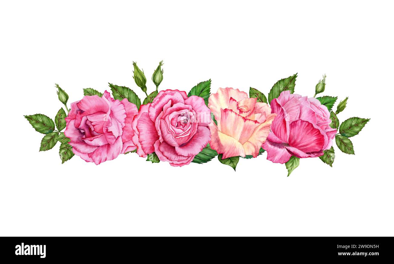 Composizione con fiori di rosa, gemme e foglie verdi. Illustrazione ad acquerello disegnata a mano isolata su sfondo bianco. Per San Valentino Foto Stock