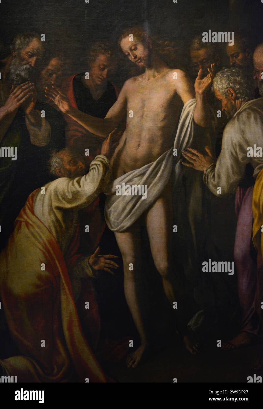 Vincenzo campi (1536-1591). Pittore italiano. L'credulità di San Tommaso. Olio su tela. Dettagli. Dalla chiesa di San Lorenzo a Cremona. Museo Civico Ala Ponzone. Cremona. Lombardia. Italia. Foto Stock