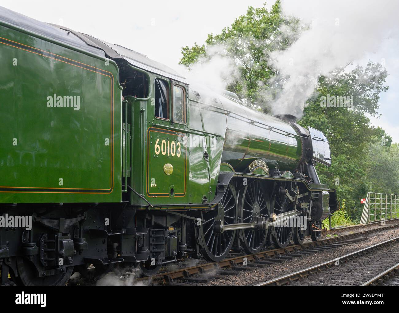 Visita al centenario del Flying Scotsman alla Bluebell Railway, West Sussex Foto Stock