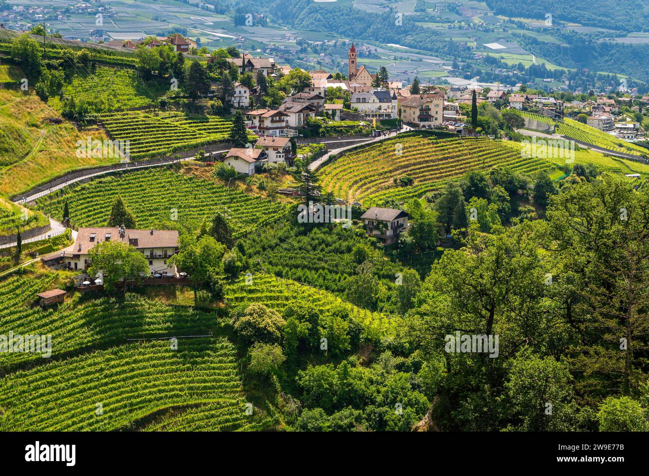 Villaggio Tirolo vicino a Merano in alto Adige. Paesaggio estivo Foto Stock