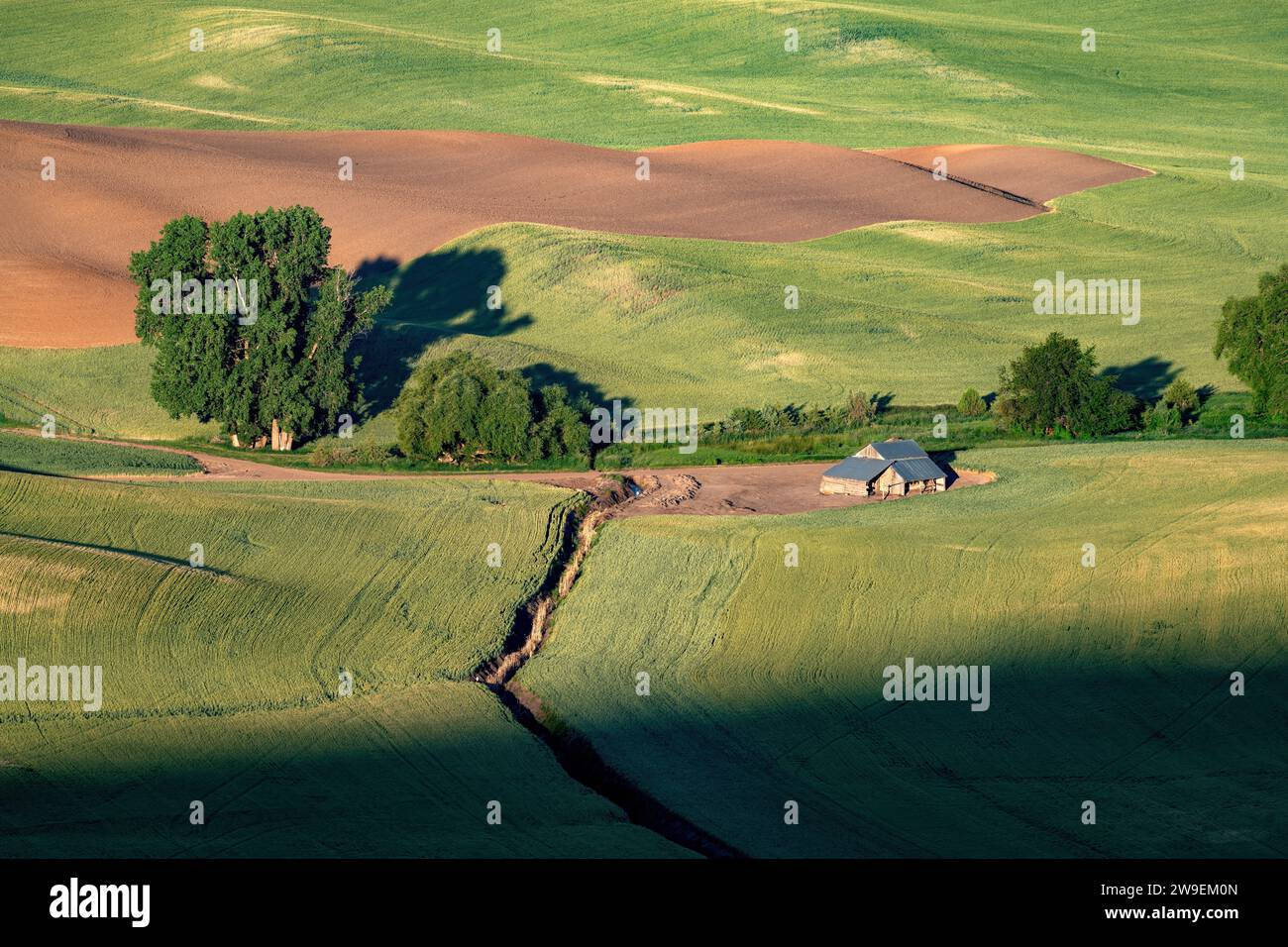 Fertili terreni agricoli con un vecchio fienile al mattino Foto Stock