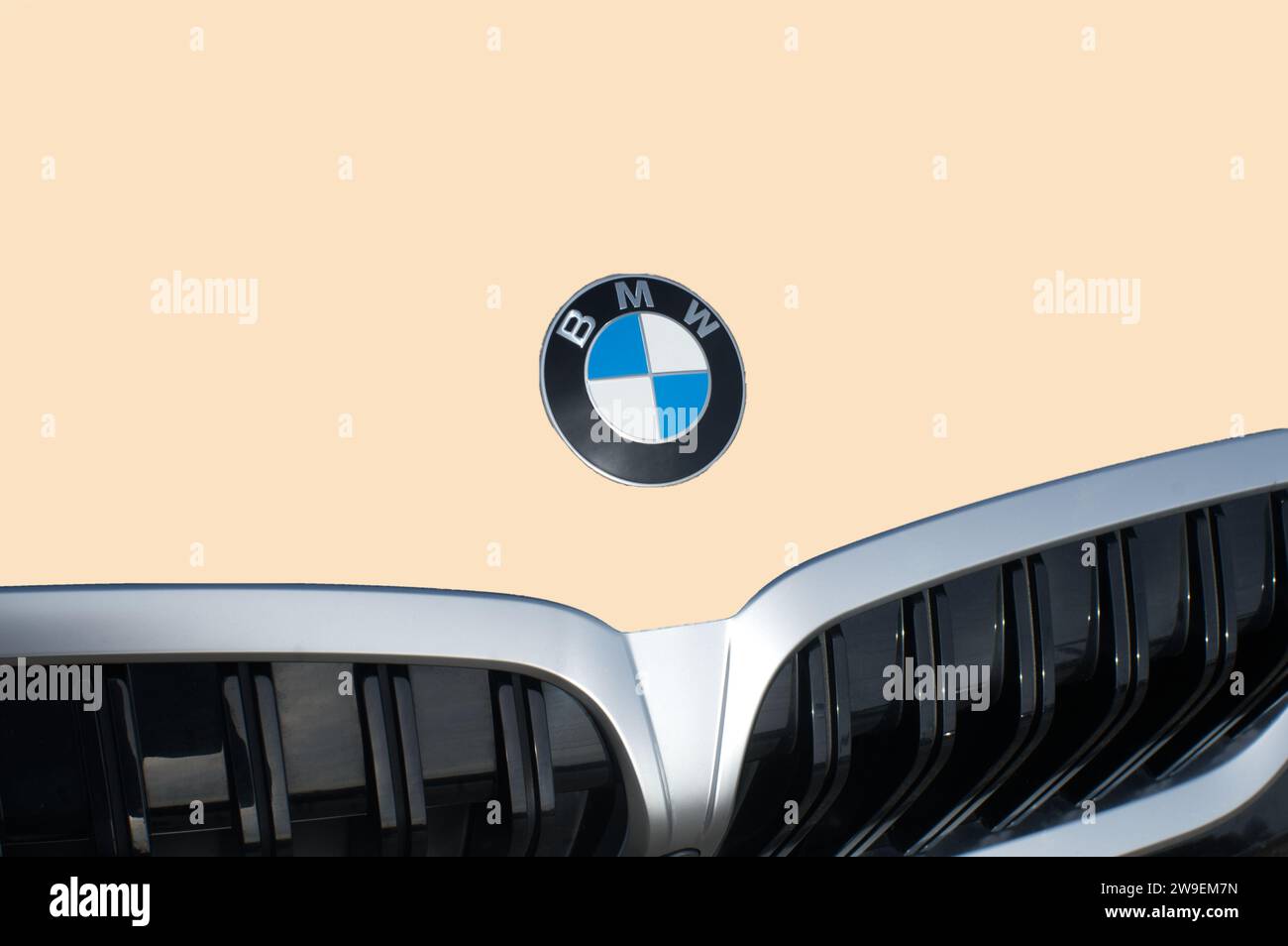 OCALA, FLORIDA - 2 NOVEMBRE 2023 logo BMW emblema beige marrone. Bavaria Motor Works è una multinazionale tedesca produttrice di veicoli di lusso Foto Stock