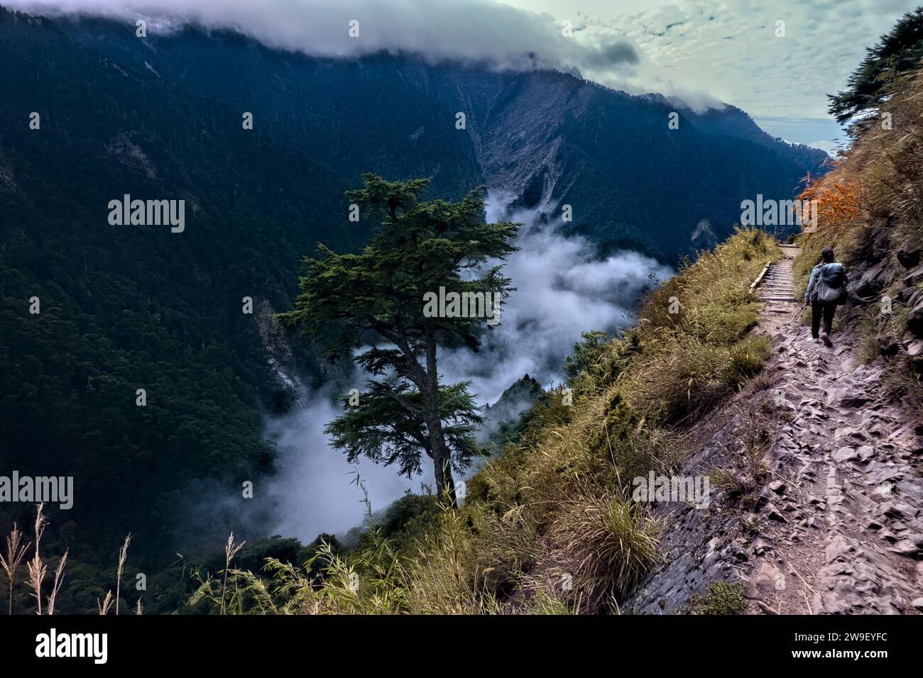 Scendendo in un mare di nuvole, Yushan National Park, Taiwan Foto Stock