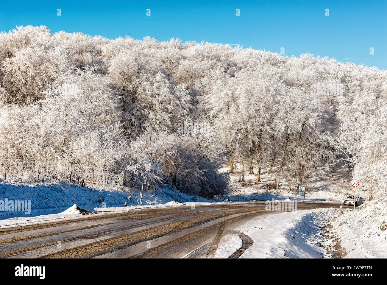 Strada invernale di montagna nel Daghestan con una ripida discesa e una foresta ghiacciata ai margini della strada Foto Stock