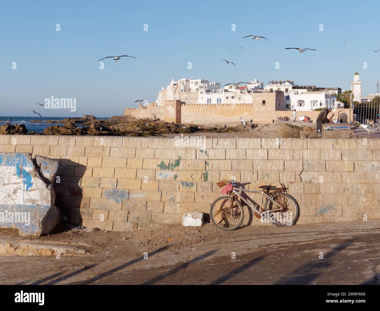 Pedala vicino alle mura della città mentre un uomo pulisce i pesci con gabbiani sopra la testa, la costa e la medina dietro a Essaouira, Marocco. 26 dicembre 2023 Foto Stock