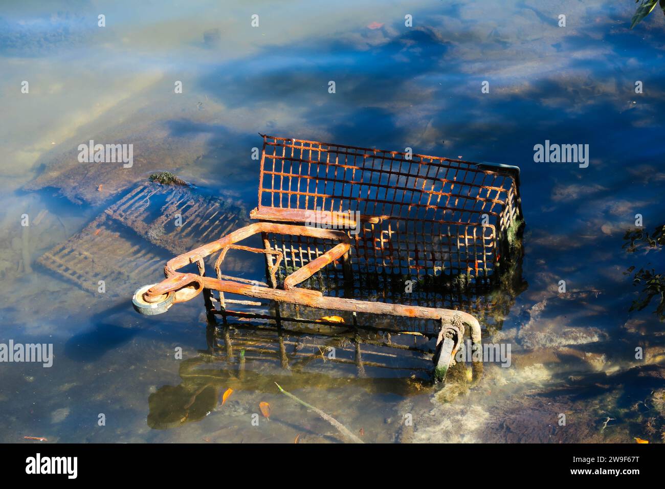 Carrello dello shopping, Invase, 1937 Oklahoma, supermercato, Sylvan Goldman, carrello, rusty, abbandonato, sponda del fiume, sottobosco, vecchio tram, riciclato Foto Stock