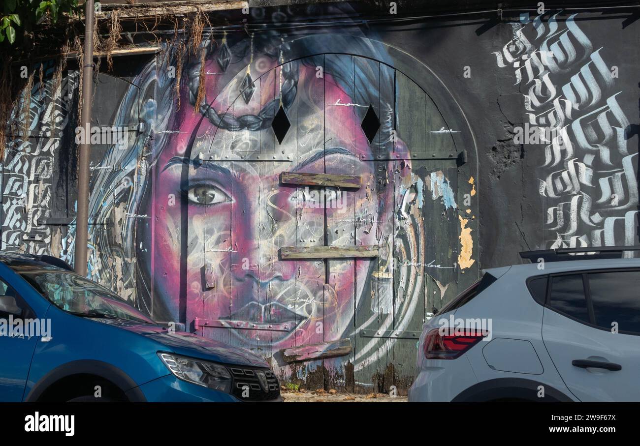 Graffiti, pareti, Banksy, vernice spray, spazi pubblici, colorato, satirico, etichetta, verniciato a spruzzo, stencil, arte murale, dipinta, arte murale, porte di garage, faccia Foto Stock