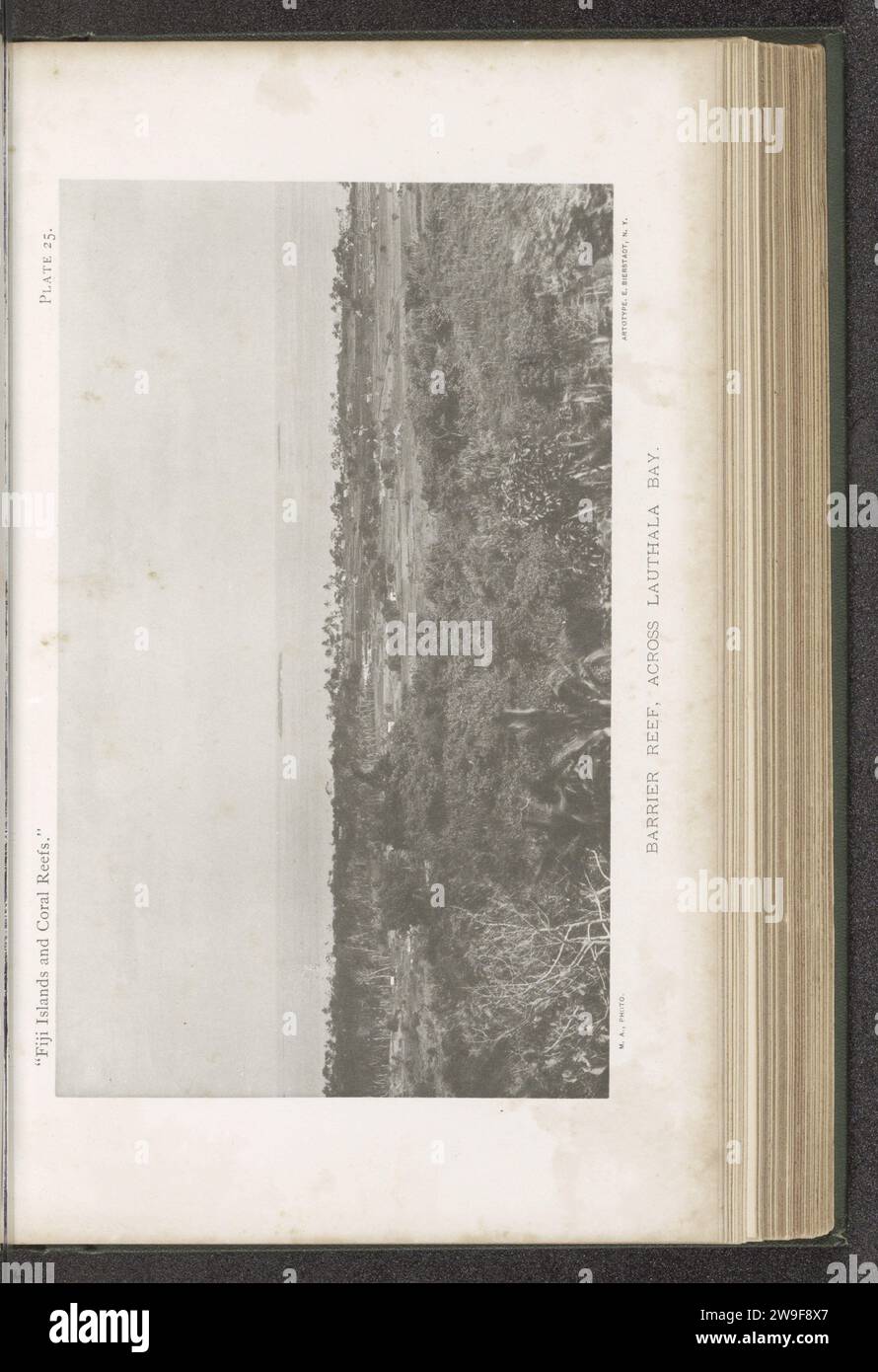 Veduta di una barriera dietro una baia di Laucala, c. 1885 - in o prima del 1899 stampa fotomeccanica Laucalaprinter: New York (città) collotipo di carta golfo, baia. Laucara, barriera corallina Foto Stock