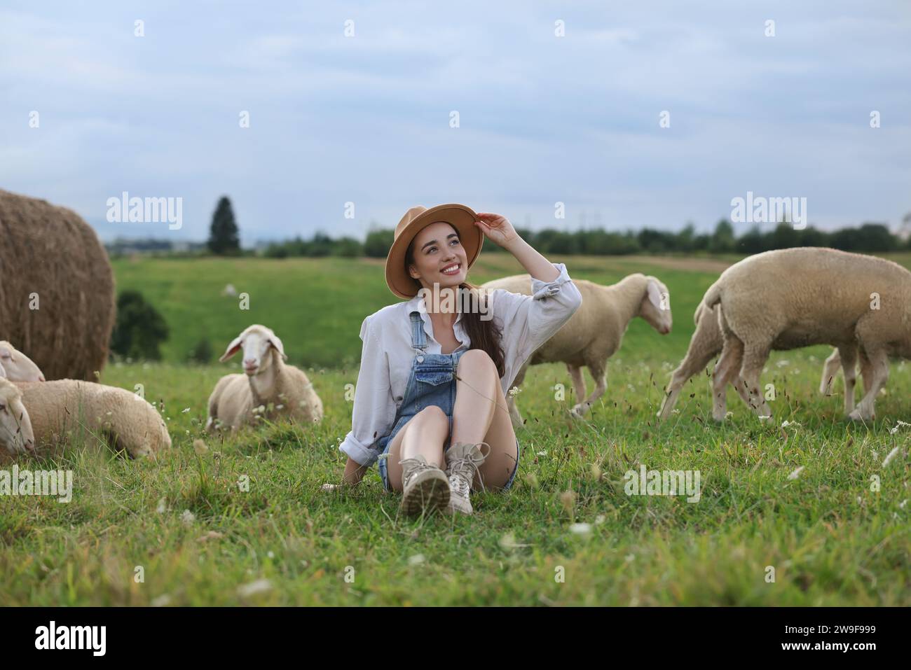 Donna sorridente con pecore al pascolo in fattoria Foto Stock