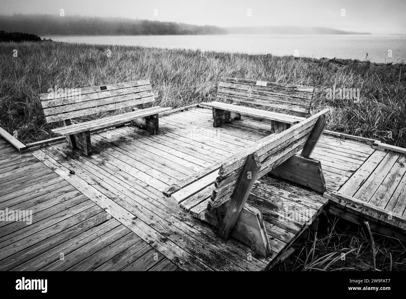Panchine su una passerella in una mattinata nebbiosa. Foto Stock