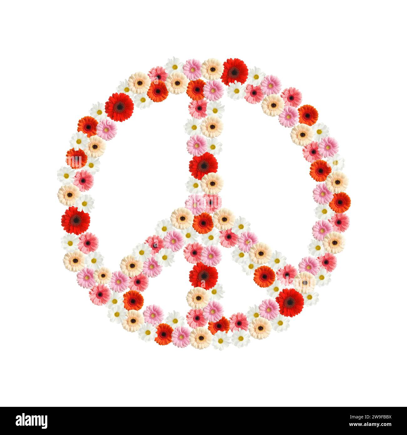 Pace hippie simbolo di splendidi fiori su sfondo bianco Foto Stock