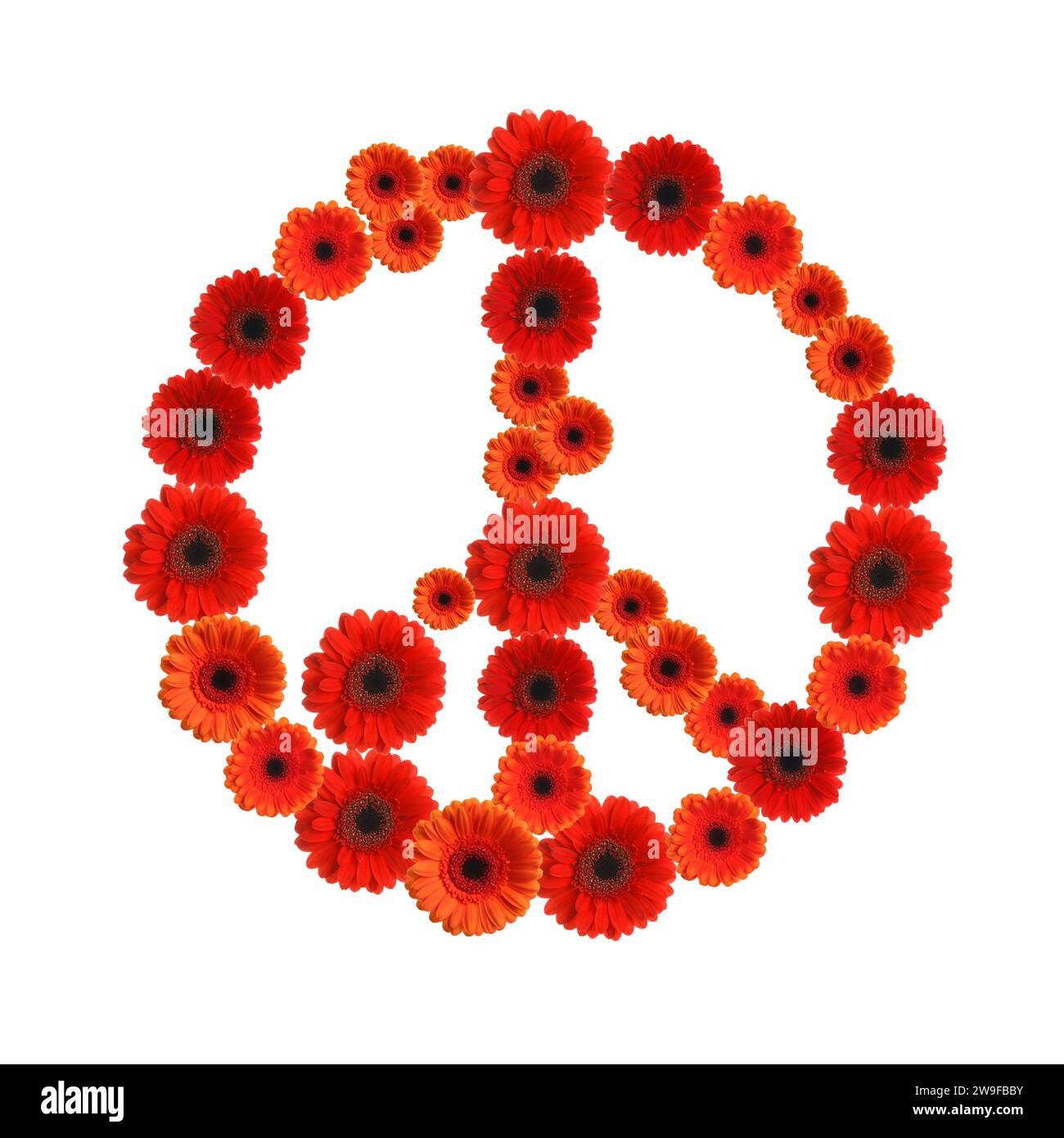 Simbolo di pace hippie fatto di fiori di gerbera su sfondo bianco Foto Stock