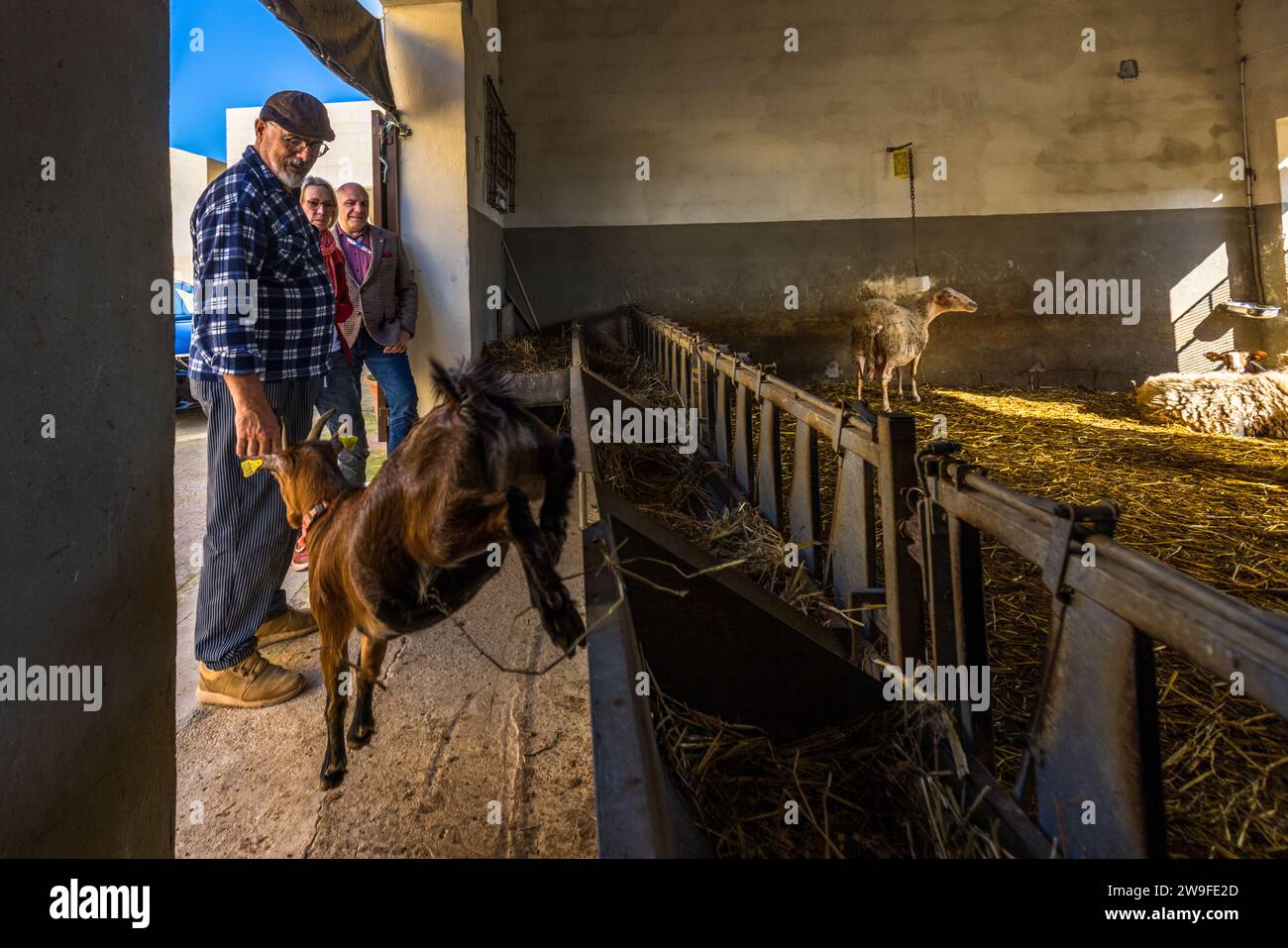 Siġġiewi, Malta Foto Stock