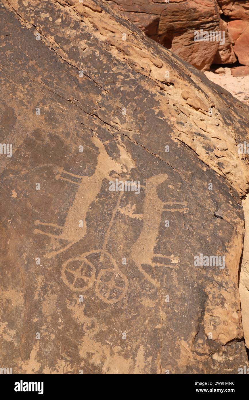 Disegno in roccia di un veicolo a ruote trainato da due animali a Jubbah, nella provincia di Hail, nel deserto Arabico Foto Stock