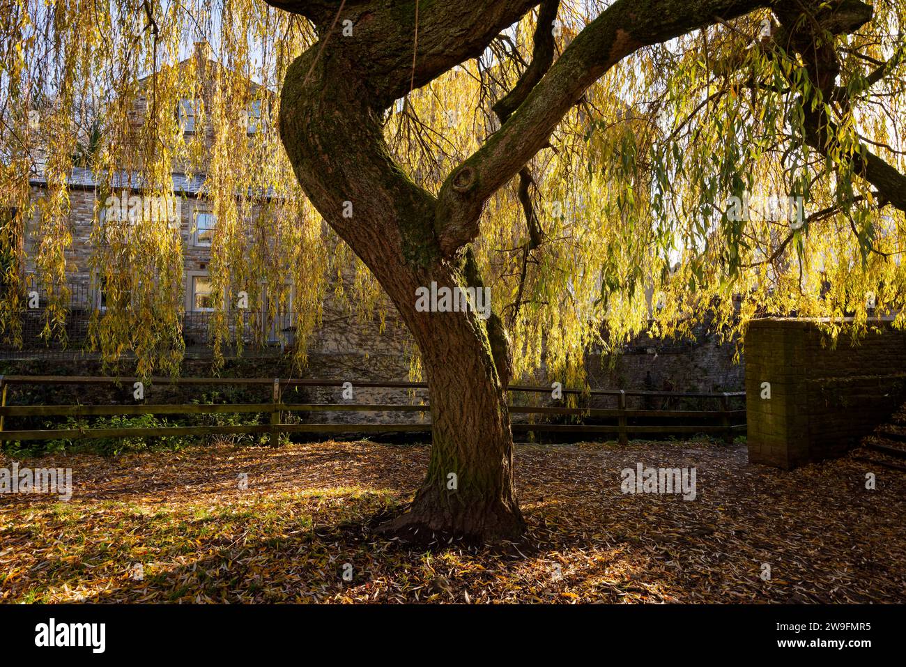 Springs Branch Canal Skipton Foto Stock