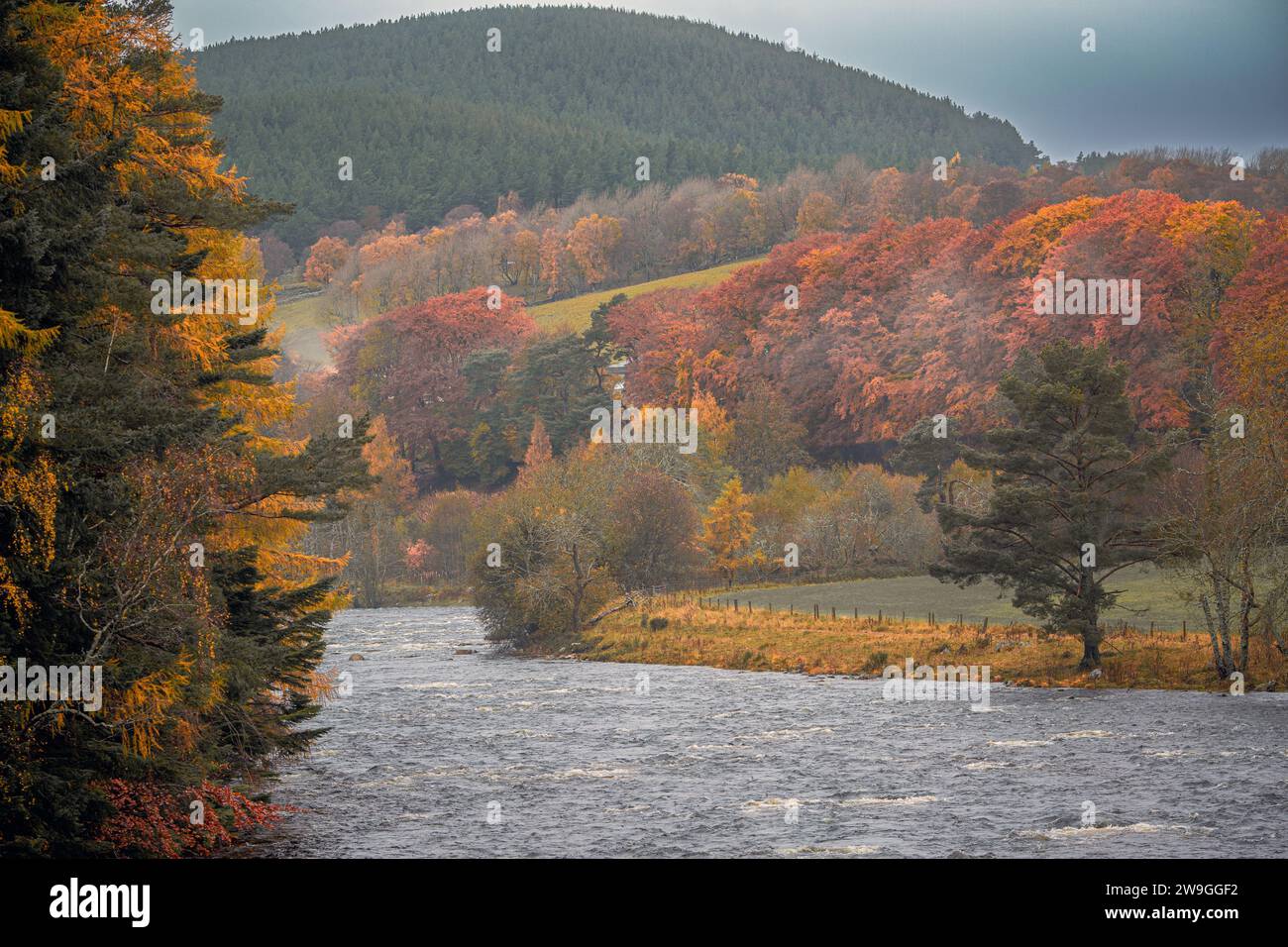 Scozia, Ballater, Aberdeenshire, River Dee vicino a Balmoral Castel Foto Stock