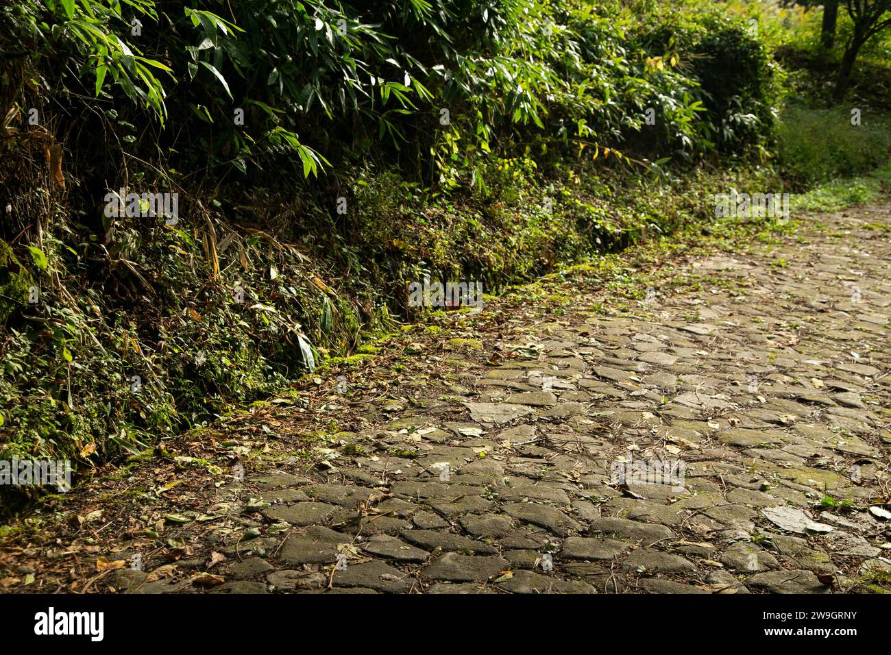 Cammina lungo la strada acciottolata seguendo il sentiero Nakasendo tra Tsumago e Magome nella valle di Kiso, in Giappone. Foto Stock