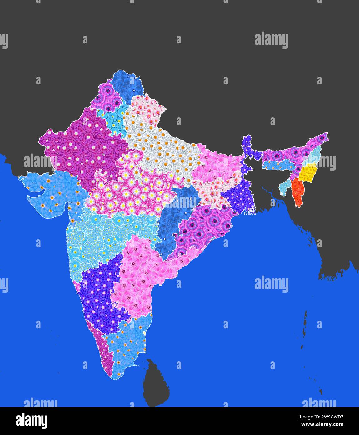 Mappa, contorni di India, Asia, evidenziati a colori da vari fiori, tutti gli stati individualmente, grafica, montaggio al computer Foto Stock