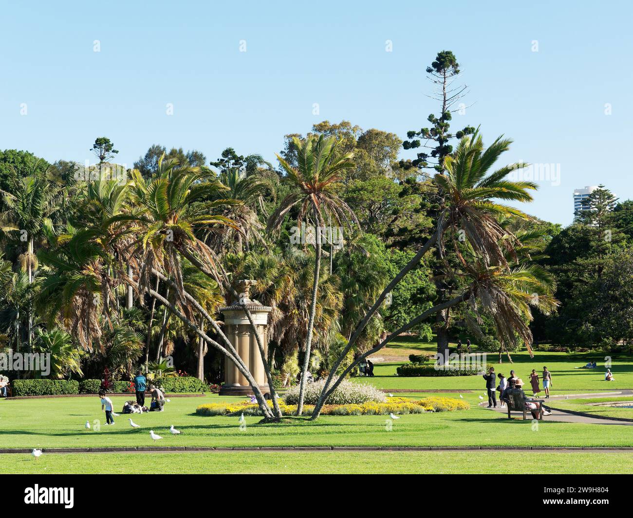 Vista dei giardini del Royal Botanic Garden Sydney lungo il porto di Sydney in Australia in una luminosa giornata primaverile Foto Stock