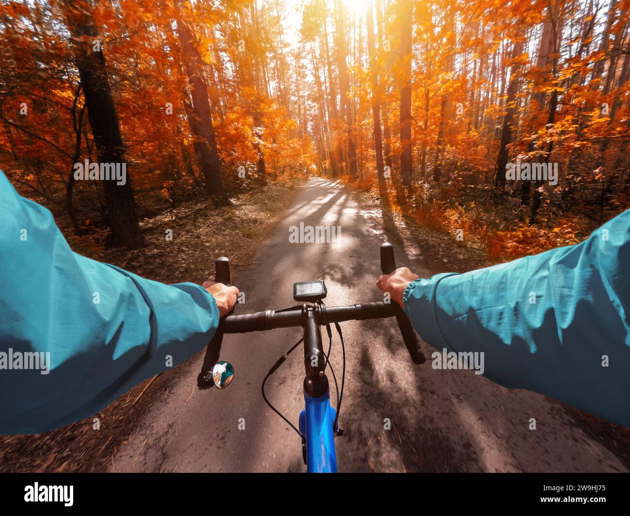 Ciclista su una bici da strada nella foresta autunnale. Vista in prima persona. Foto Stock