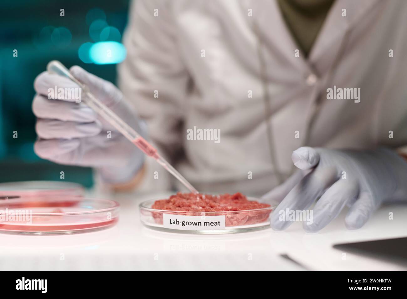 Ricercatore non riconoscibile che lavora su un campione di carne coltivato in laboratorio aggiungendo liquido utilizzando una pipetta Foto Stock