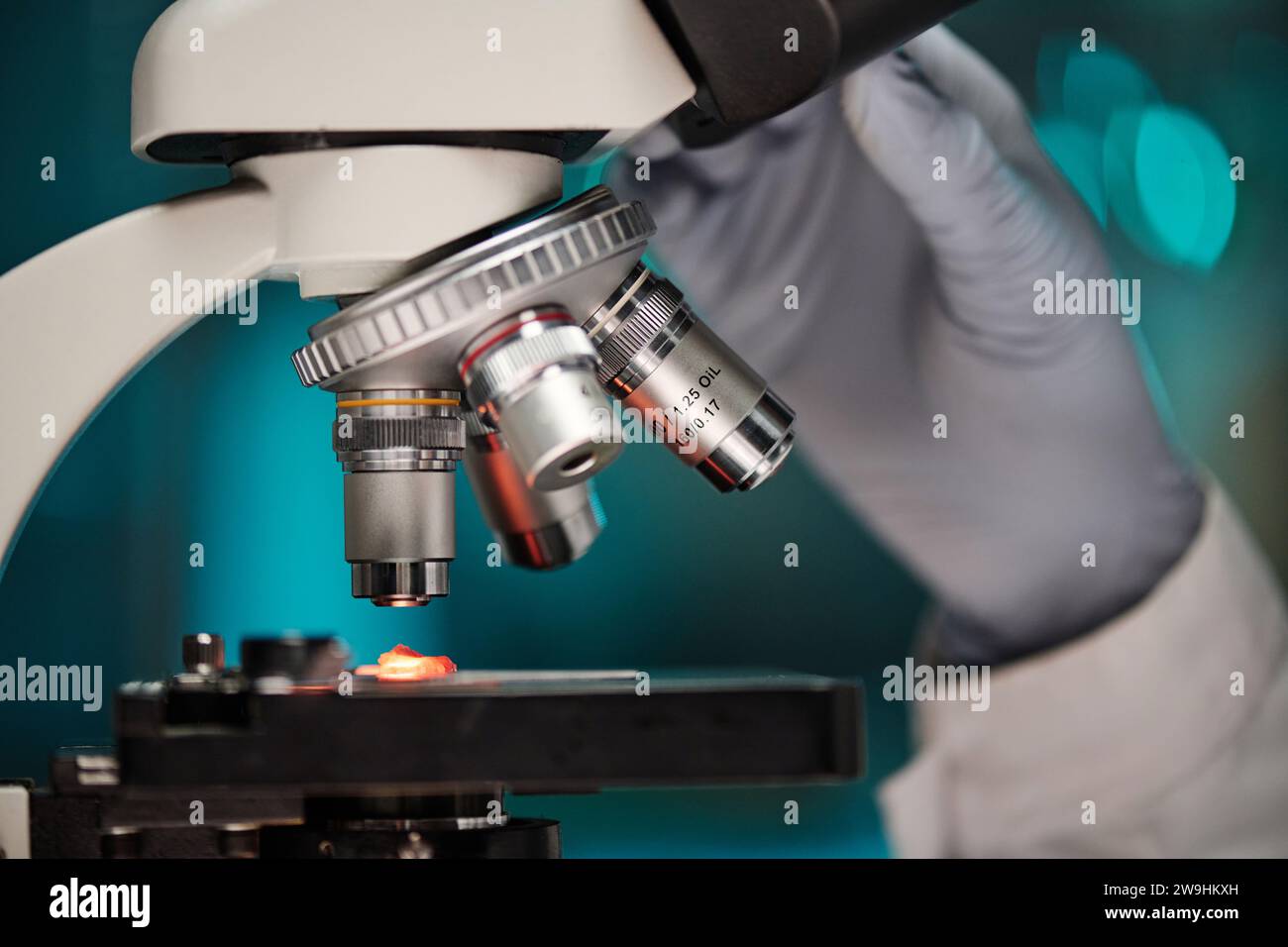 Primo piano del microscopio di regolazione manuale per analizzare pezzi di carne coltivati in laboratorio sotto la lente Foto Stock