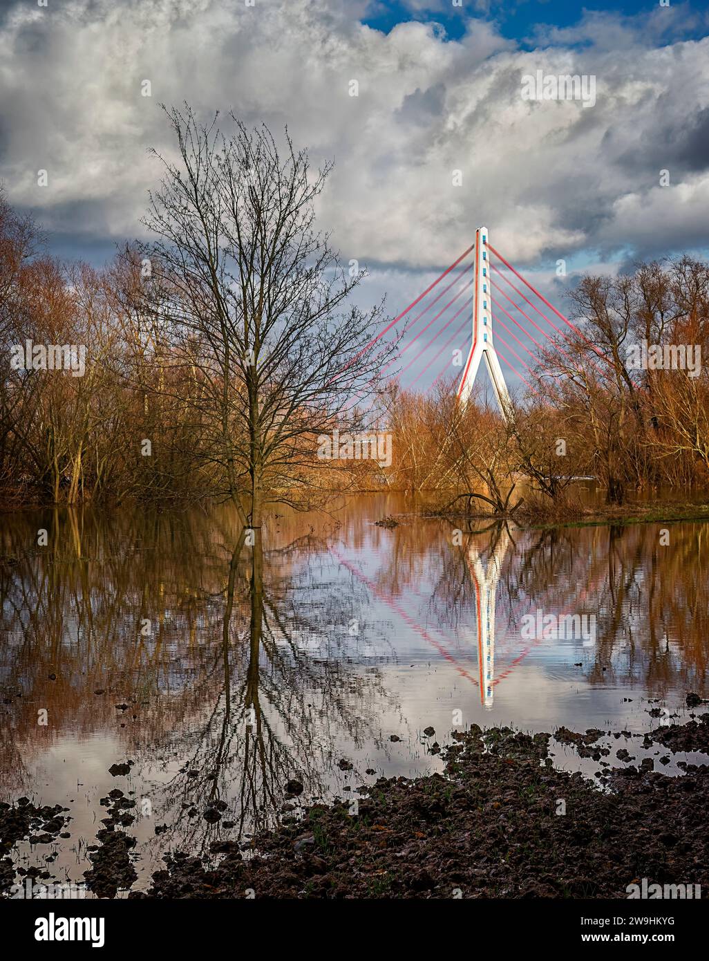 Inonda sul Reno con una splendida luce pomeridiana Foto Stock