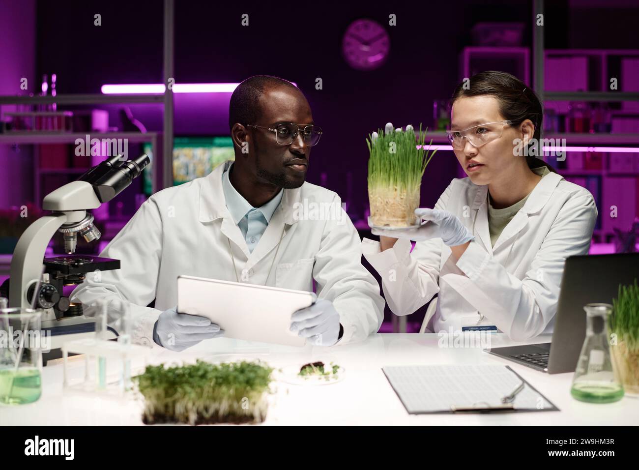 Scienziati afroamericani e asiatici osservano attentamente il campione di erbe che ne analizzano la crescita Foto Stock