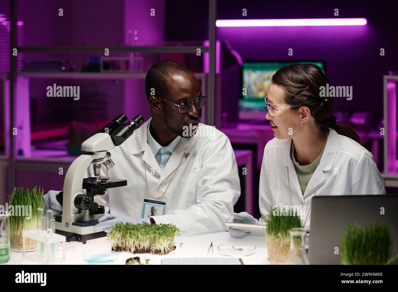 Colleghi maschi e femmine che discutono di lavoro scientifico con piante sedute alla scrivania in laboratorio Foto Stock