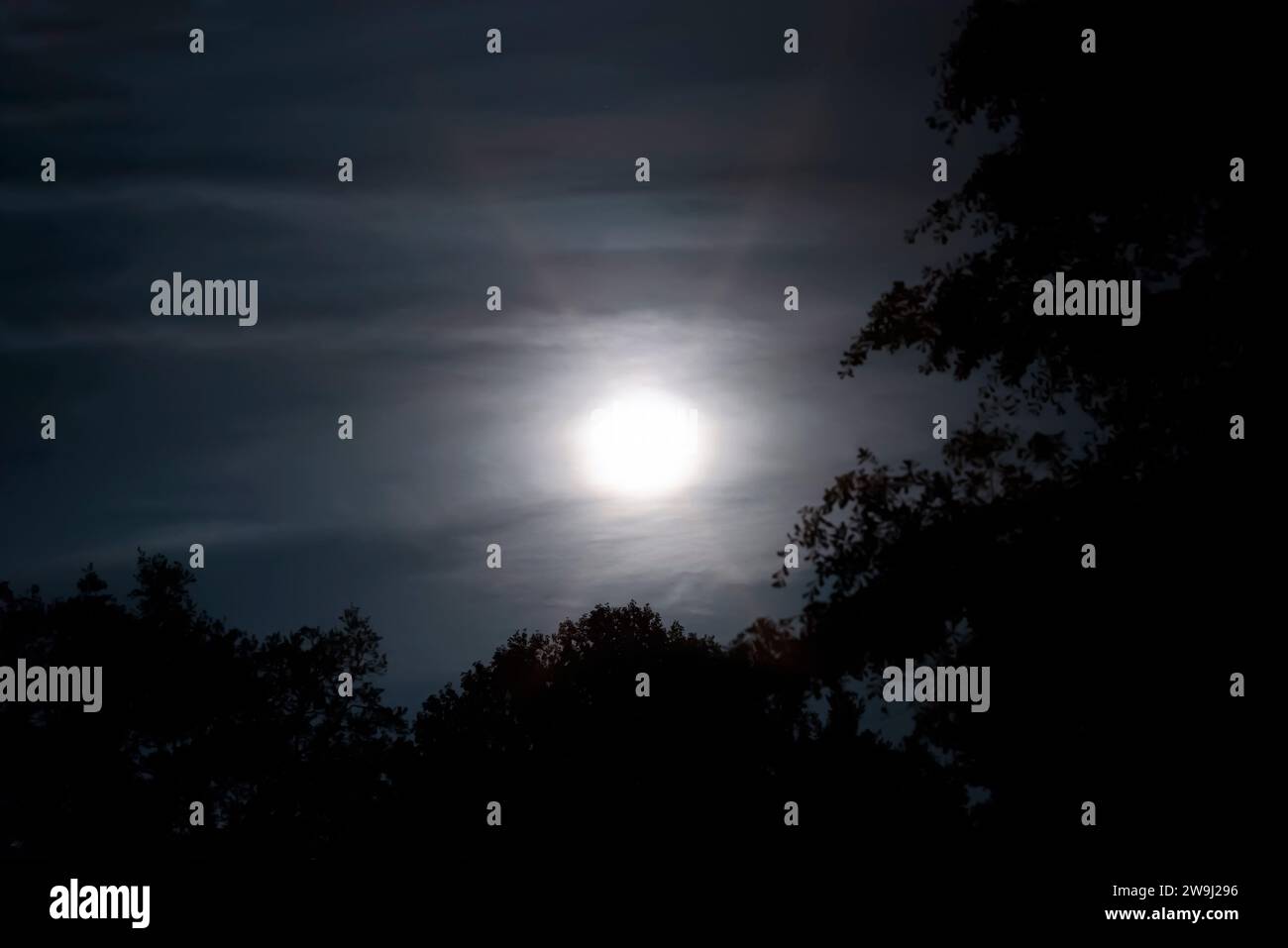 Il sole splende nel cielo, le sagome degli alberi nel cielo serale a Tallahassee, Florida Foto Stock