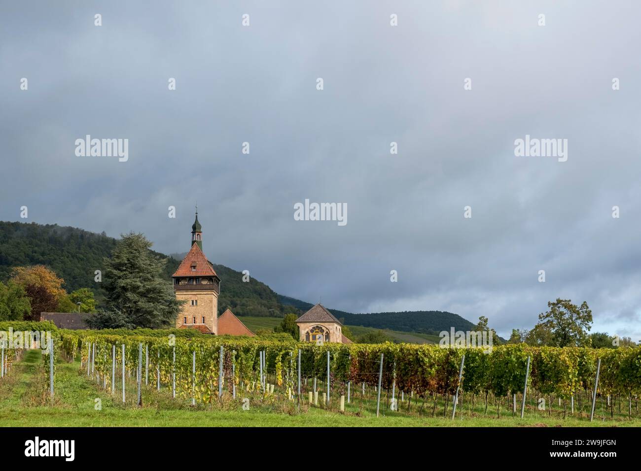 Geilweilerhof, Institute for Grapevine breeding, Siebeldingen, German Wine Route, Southern Wine Route, Palatinato, Renania-Palatinato, Germania Foto Stock